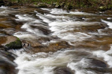 Nehrin Exmoor Ulusal Parkı 'ndaki Watersmeet' te ormana doğru akışı uzun sürdü.