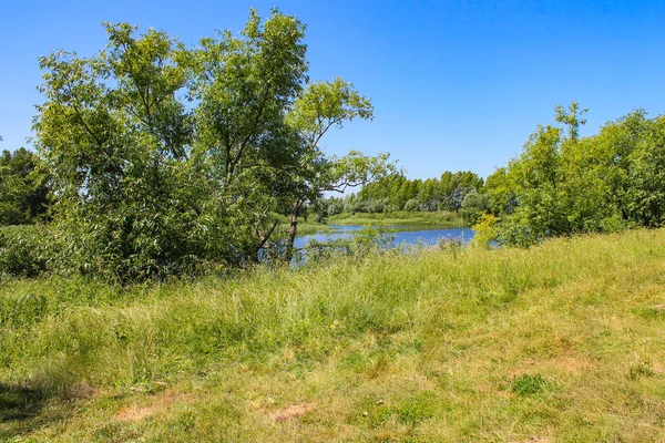 Nehir kenarındaki yaz manzarası.