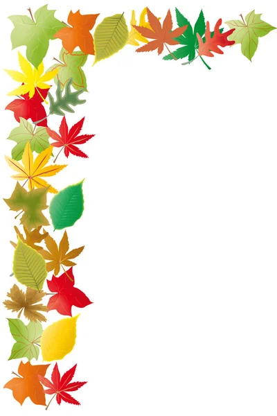 Гербсцайт красочные листья на белом фоне — стоковое фото