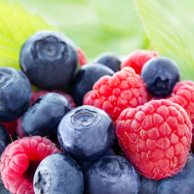 Ahududu ve yaban mersini