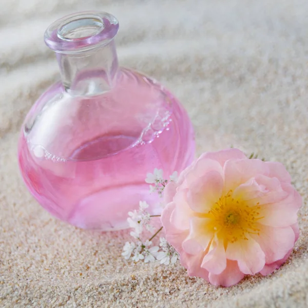 Kosmetik ve Rosen im sand — Stok fotoğraf