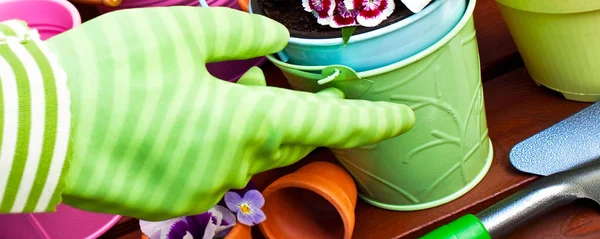 Gardening tools spring as background banner