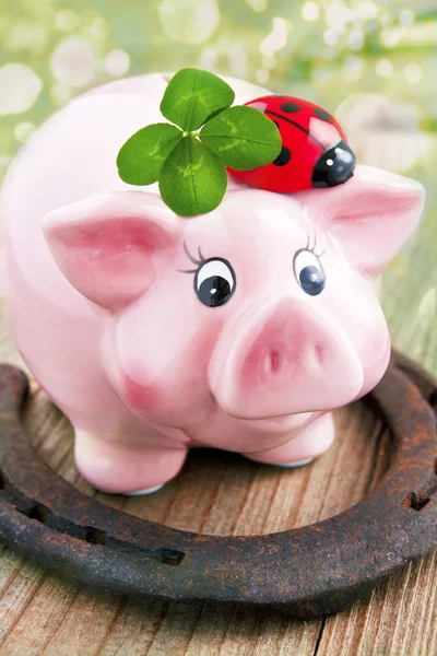 Şanslı domuz, uğur böceği, at nalı, yonca yapraklı bokeh