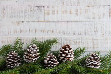 Köknar, köknar konisi ve kopya alanı ile Noel süslemesi