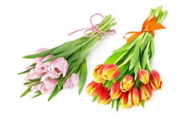 Beyaz arka planda sarı ve mor laleler