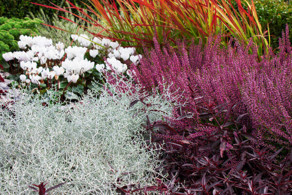 Цветочное ложе осень с красочными цветами и растениями в качестве фона
