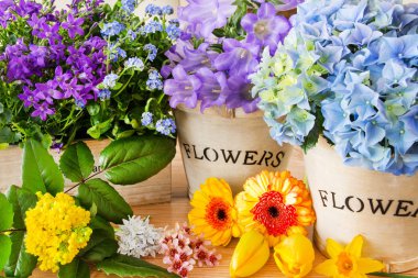 Bahçe çiçekleri ve dekorasyon