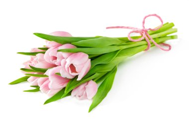 Beyaz çekimde pembe laleler