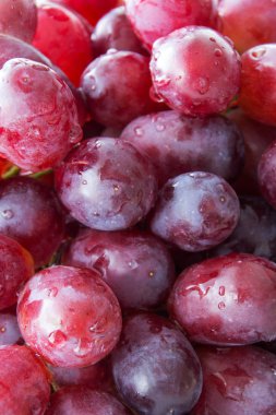 Arka plan olarak kırmızı üzümler kapat