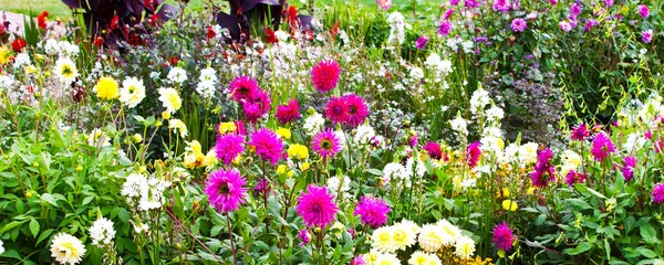 Herbstbeet im Park — Stockfoto