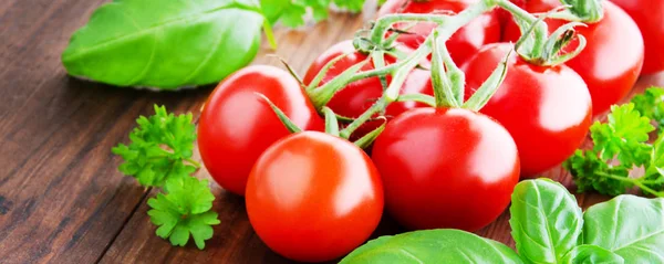 Pomodori con basilico e prezzemolo come striscione — Foto Stock