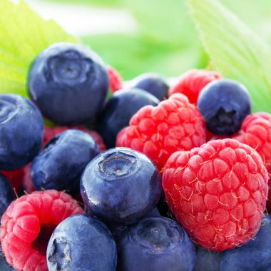 Ahududu ve yaban mersini