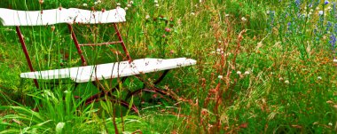 Renkli çiçekli ve banklı bahar çayırı