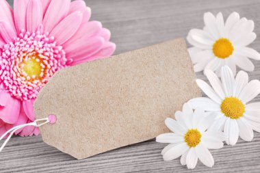 Fotokopi alanı olan Gerbera çiçeği ve etiketi