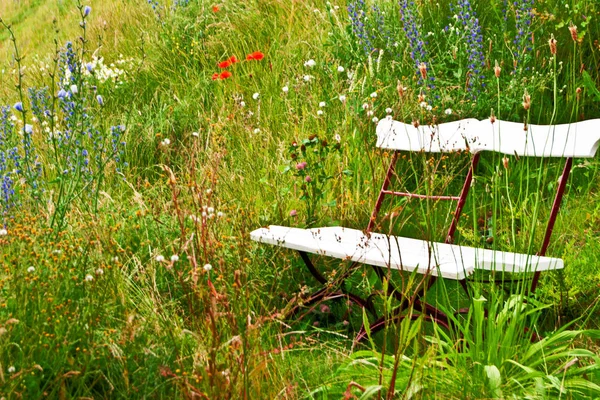 Renkli çiçekli ve banklı bahar çayırı