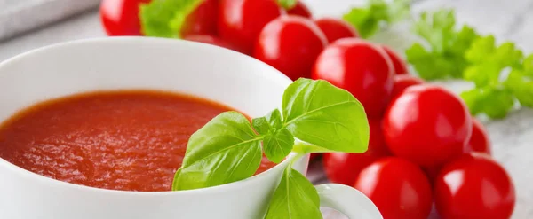 Tomato soup in a bowl as a banner — Stock Photo, Image