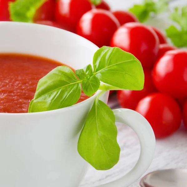 Tomatensuppe und Basilikum aus nächster Nähe — Stockfoto