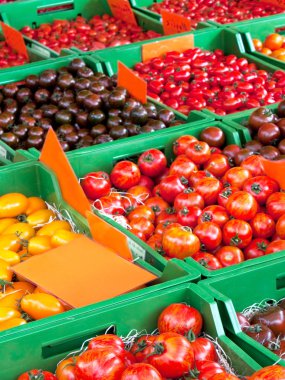 kutuları piyasada domates