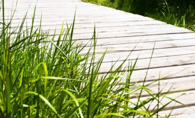 Ahşap köprü zeminli yeşil çimenler