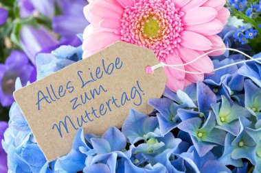 Geçmişi Gerbera olan Alman Anneler Günü