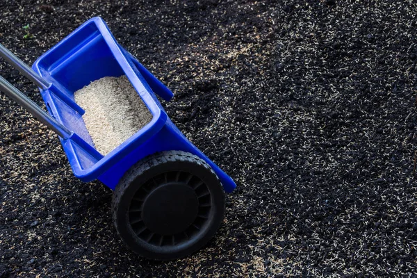 Bahçe bakımı Arkaplan olarak çim tohumları