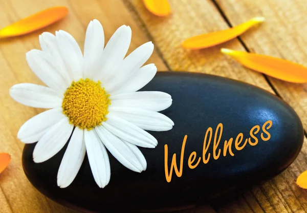 Wellness concept with stone and flower — Stock Photo, Image