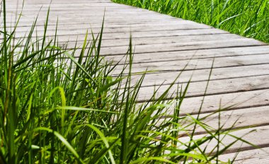 Ahşap köprü zeminli yeşil çimenler