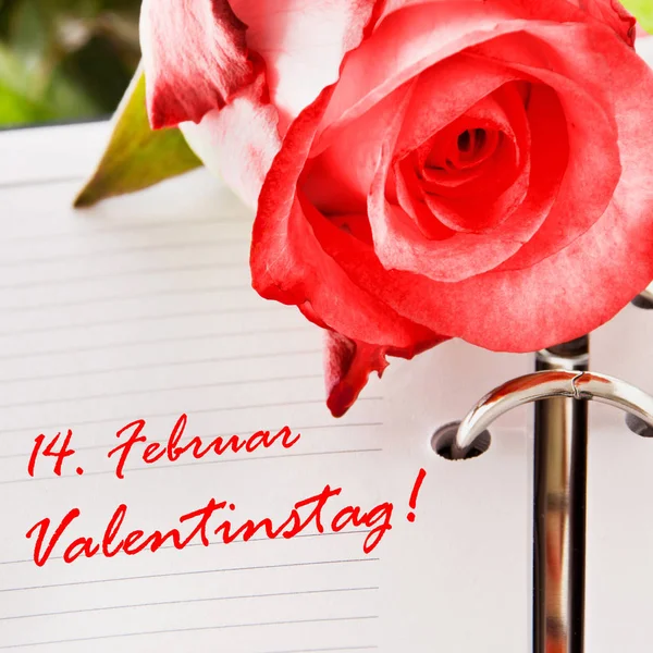 Deutscher Valentinstag-Kalender und rosa Rose als Hintergrund — Stockfoto