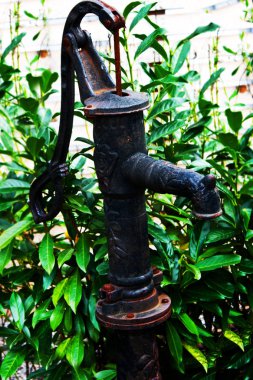 Bahçede su pompası