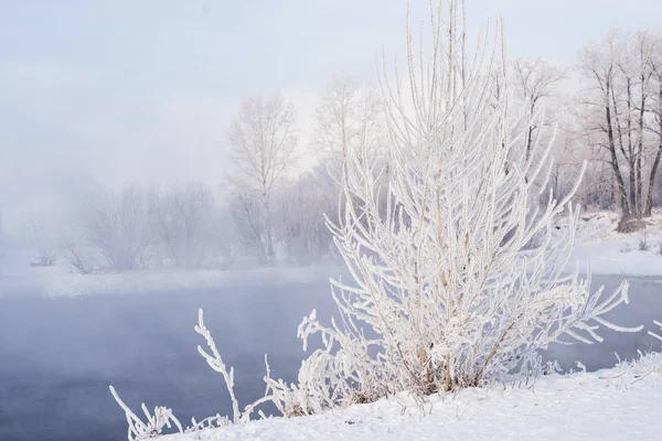 Morgen Auf Dem Fluss Winterlandschaft — Stockfoto