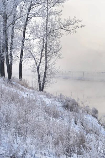 Mañana Río Paisaje Invierno — Foto de Stock