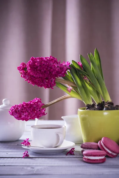 Macaron Rose Avec Jacinthe Rose Sur Fond Bois — Photo