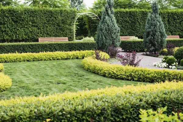 Parkın peyzaj tasarımı