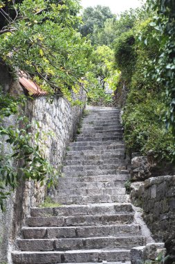 Yeşilliklerle çevrili eski doğal taştan merdivenler.