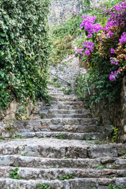 Yeşilliklerle çevrili eski doğal taştan merdivenler.