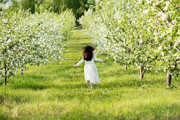A beautiful  girl runs through a flowering apple garden in the spring. Child  in a blooming garden at sunset