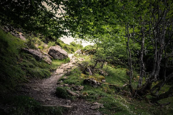 hidden path on a route through the mountains