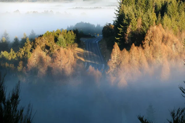 hidden road in the mist at sunrise