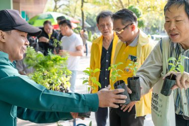 Yeşil fidanlar Büyümeye hazır