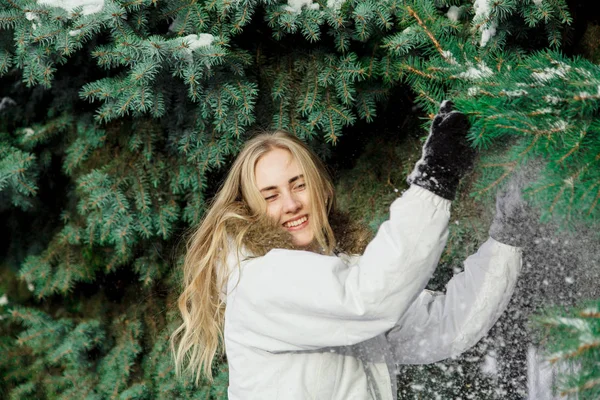 Die schöne junge, gut gelaunte Frau in weißer Jacke lacht und schüttelt den Schnee von den Ästen der Weihnachtsbäume. vor dem Hintergrund grüner Bäume, die mit weißem Schnee bedeckt sind — Stockfoto