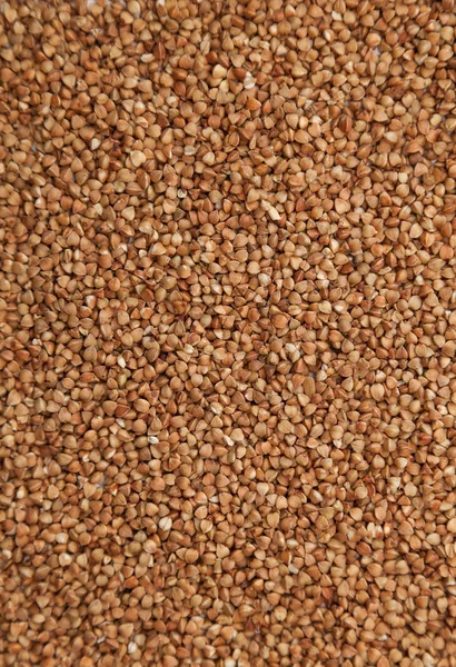Buckwheat grains background