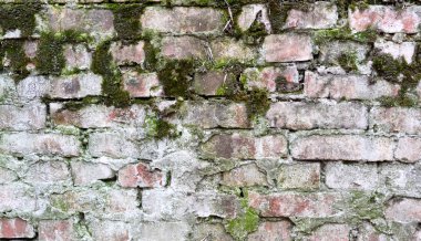Yosun kaplı eski tuğla duvar