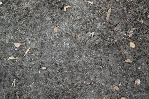 Gray background of soil and mud after the autumn rain — Stock Photo, Image
