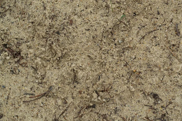 Mokrý písek za zamračeného dne. Detailní přírodní pozadí. — Stock fotografie