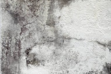 Beyaz Grunge çimento doku arka plan.
