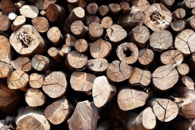 Yakacak odun arka kapatmak.