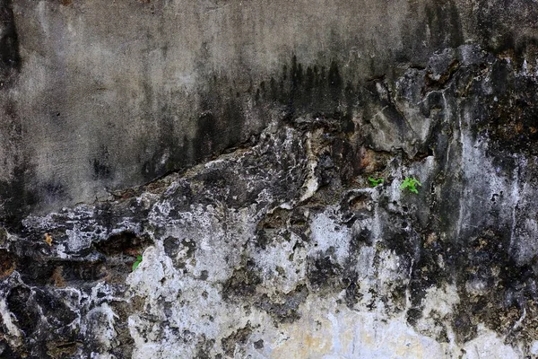 Eski duvar dokusu arkaplanı.