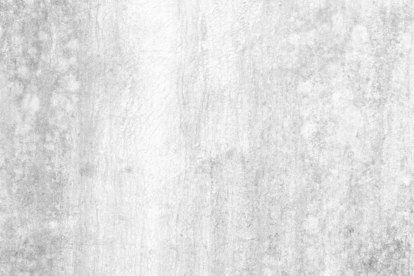 White Grunge Wood Texture Background Suitable Presentation Web Temple Backdrop — 스톡 사진