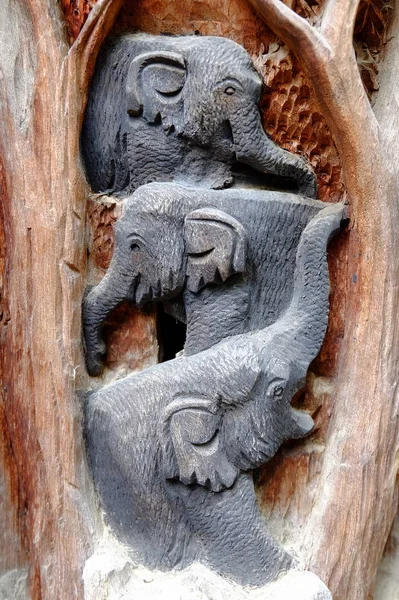 Antico Legno Bramato Elefante — Foto Stock