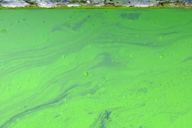 Yeşil atıksu arka kapatmak.